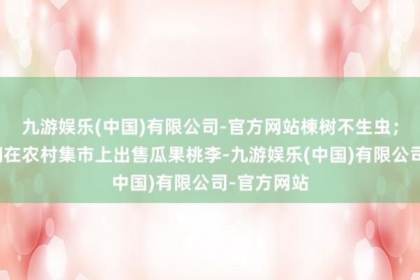 九游娱乐(中国)有限公司-官方网站楝树不生虫；东说念主们在农村集市上出售瓜果桃李-九游娱乐(中国)有限公司-官方网站